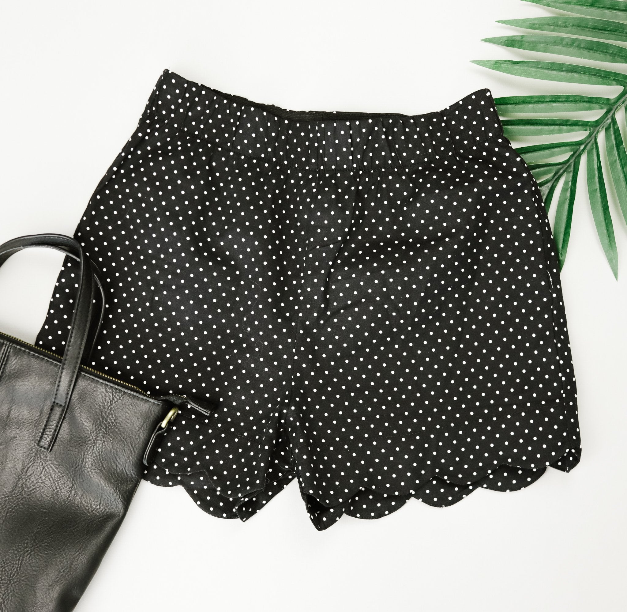 Micro Dot Scalloped Shorts In Black