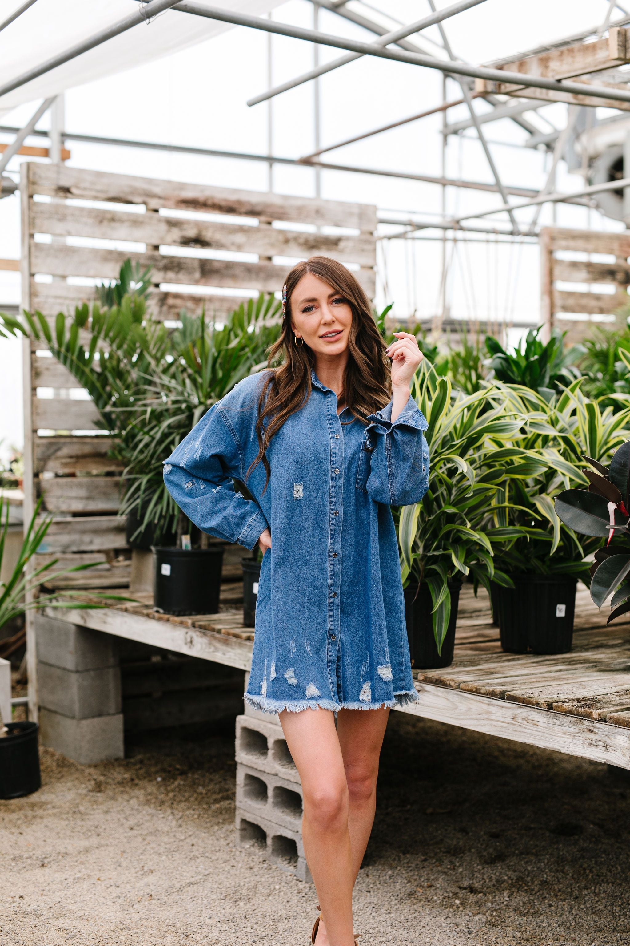 Artist's Loft Denim Button Down