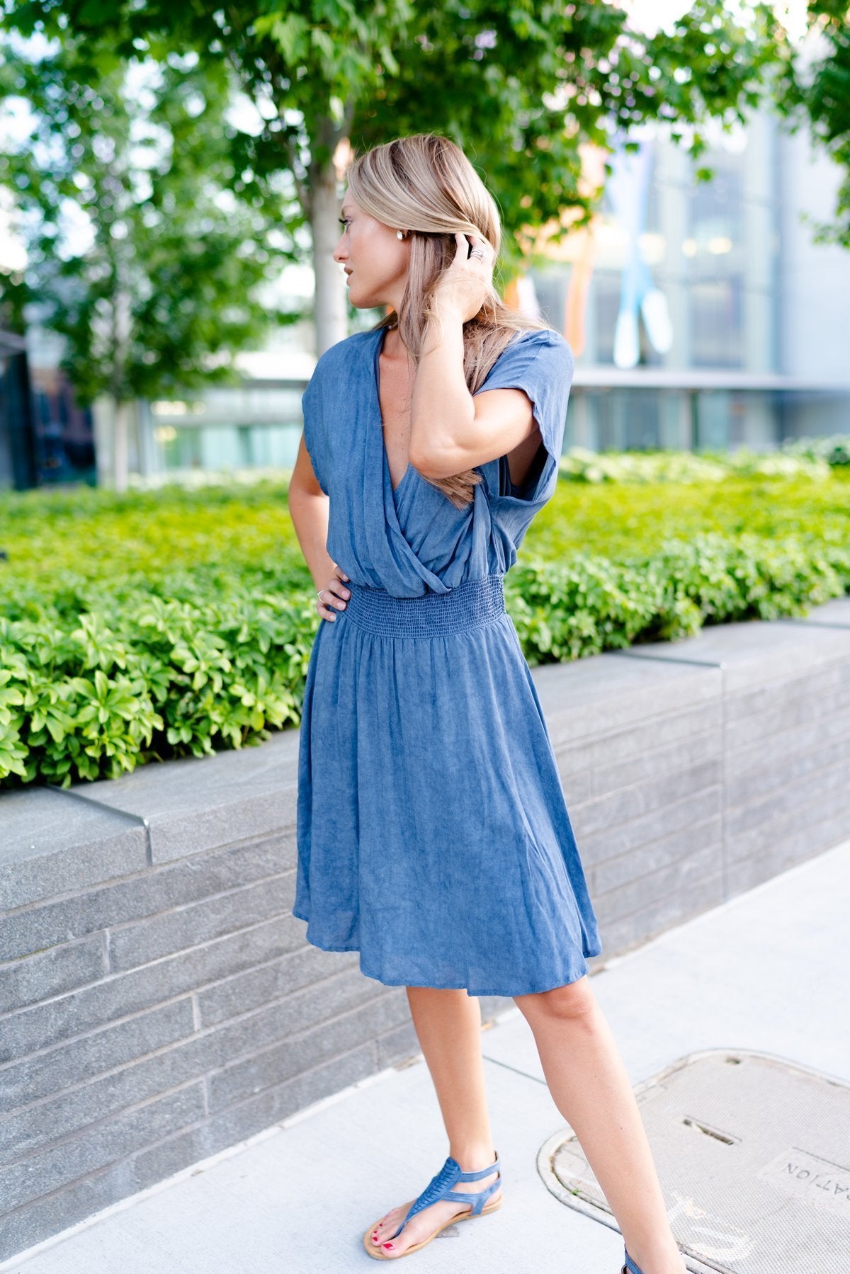 Bainbridge Dress In Blue