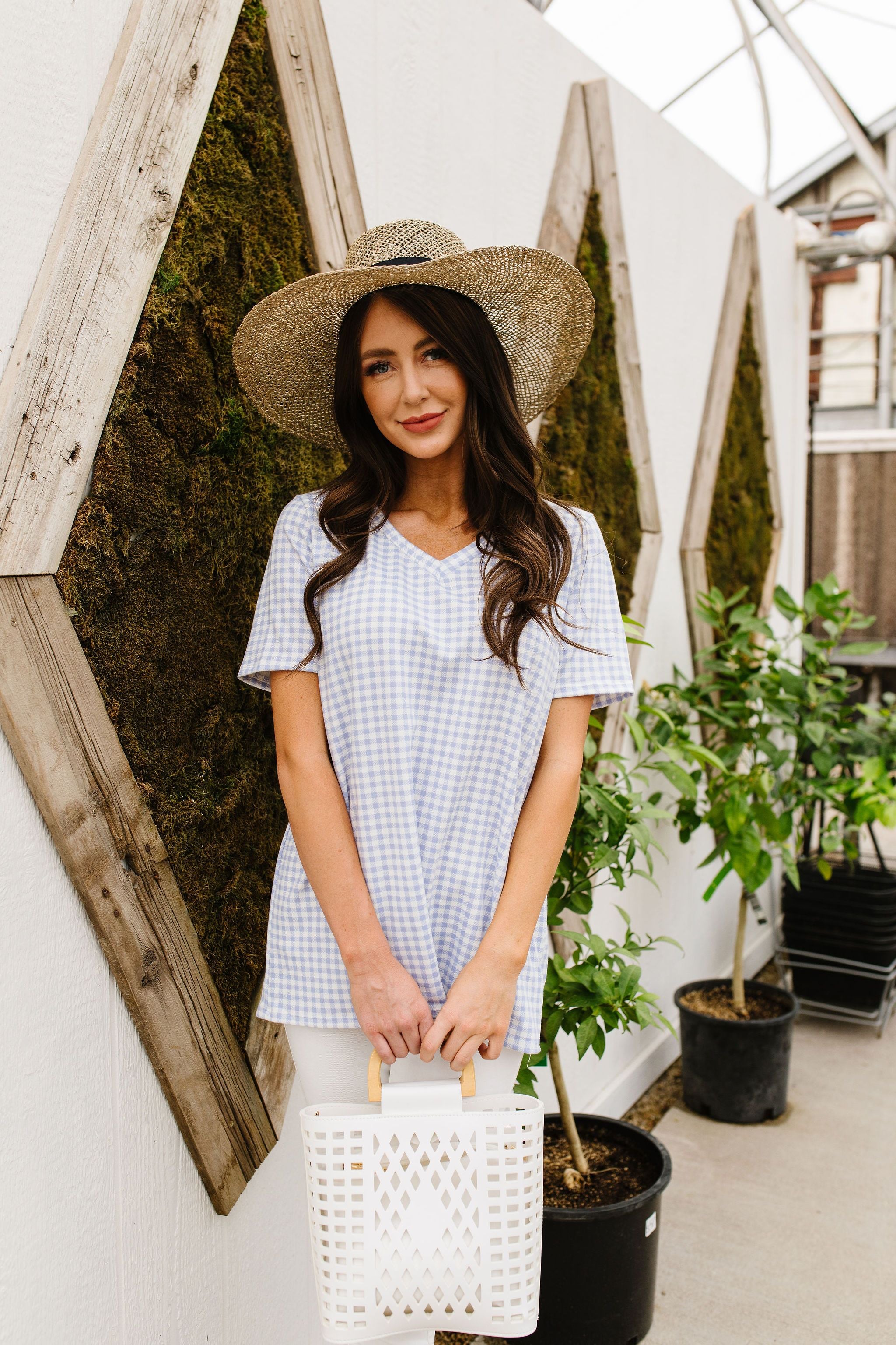 Good Girl Gingham V-neck In Baby Blue