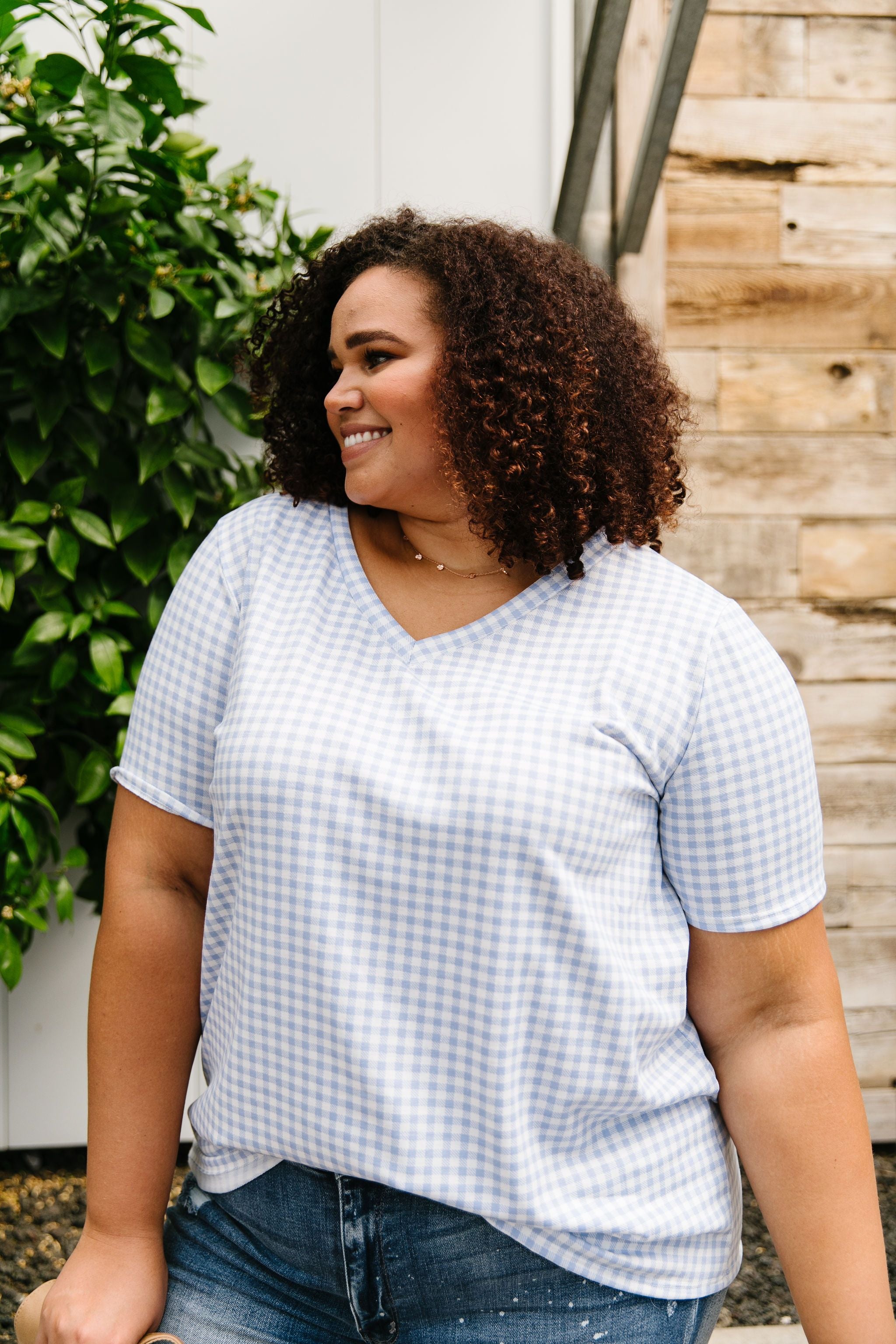 Good Girl Gingham V-neck In Baby Blue