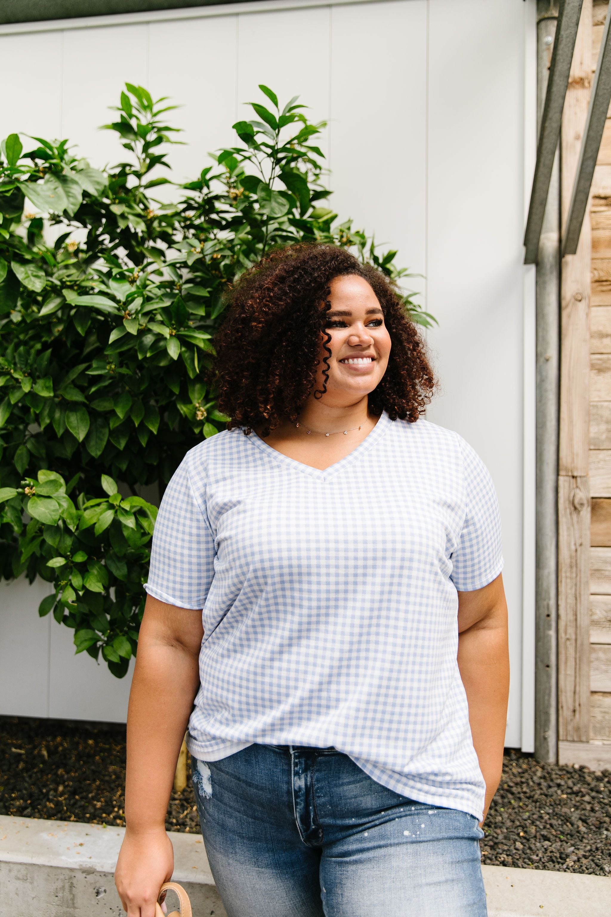 Good Girl Gingham V-neck In Baby Blue