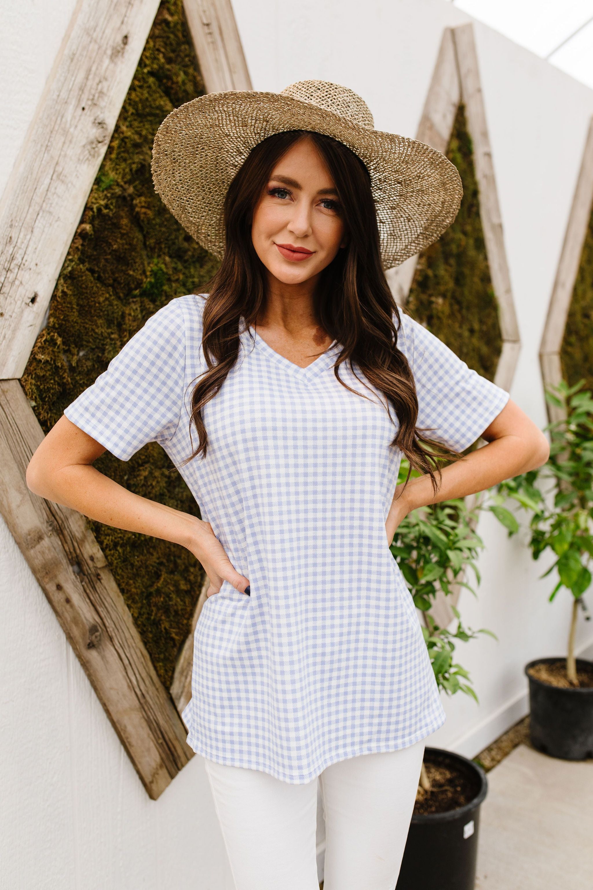 Good Girl Gingham V-neck In Baby Blue