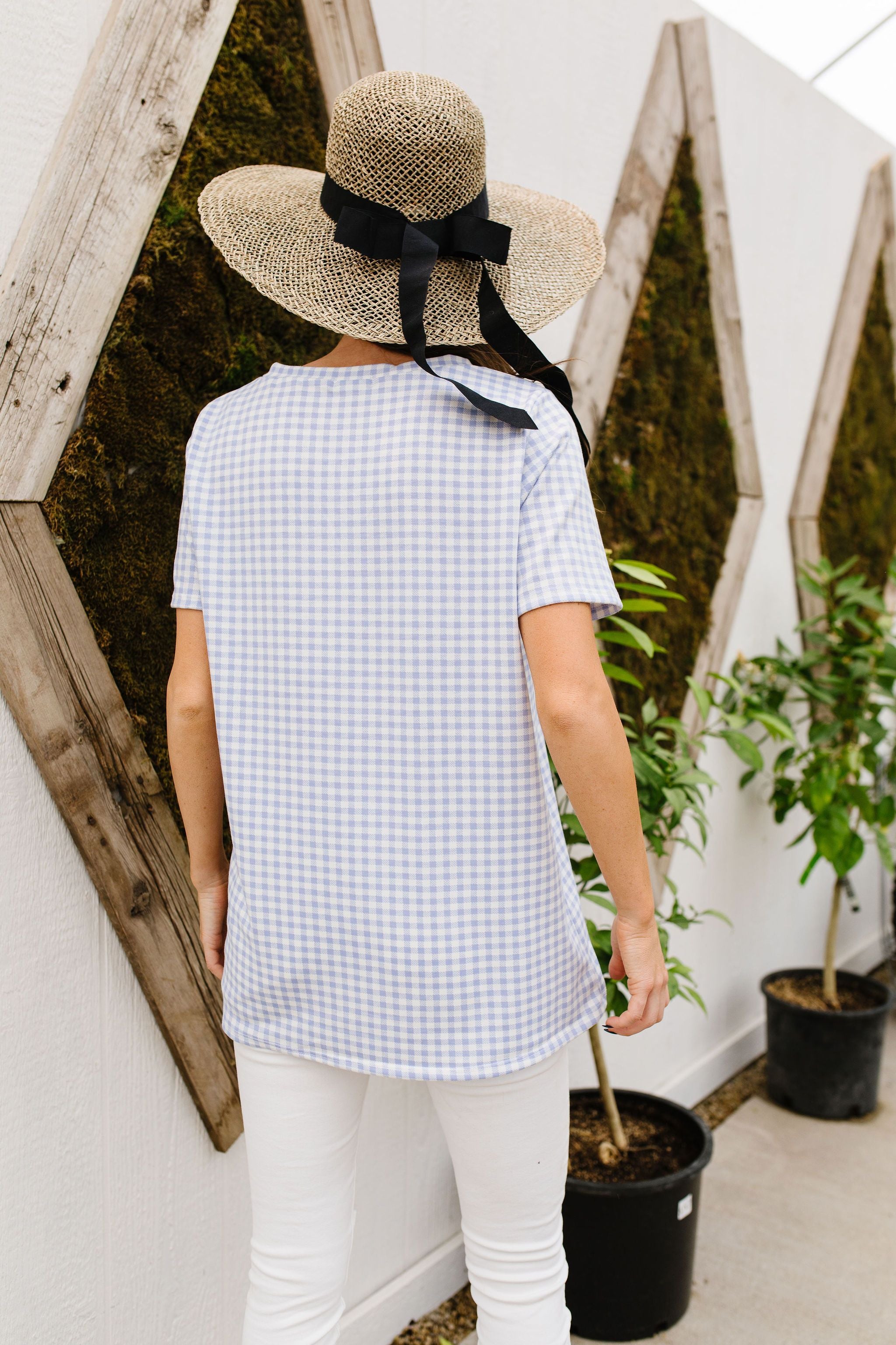 Good Girl Gingham V-neck In Baby Blue