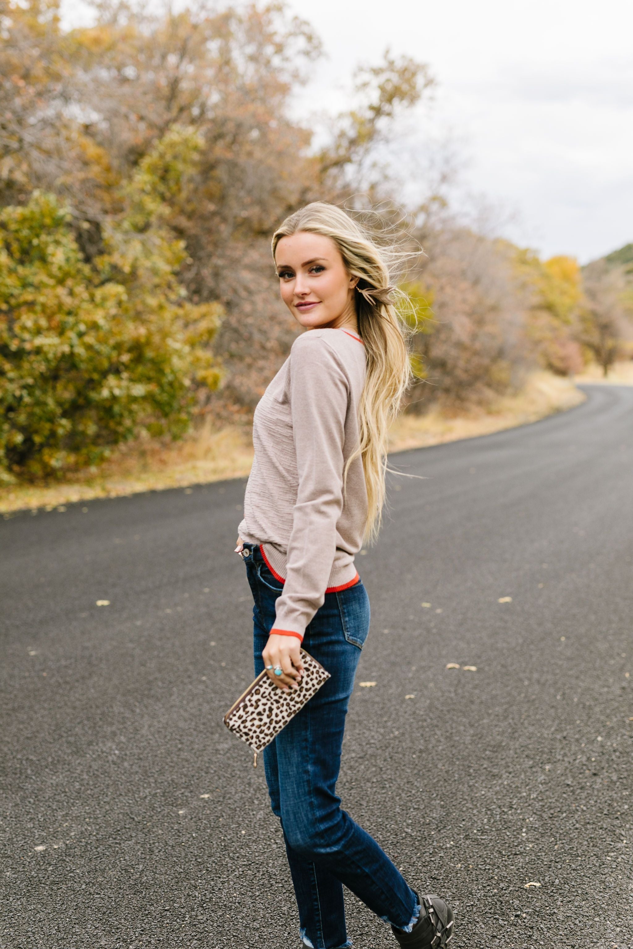 On The Edge Taupe Mocha Sweater