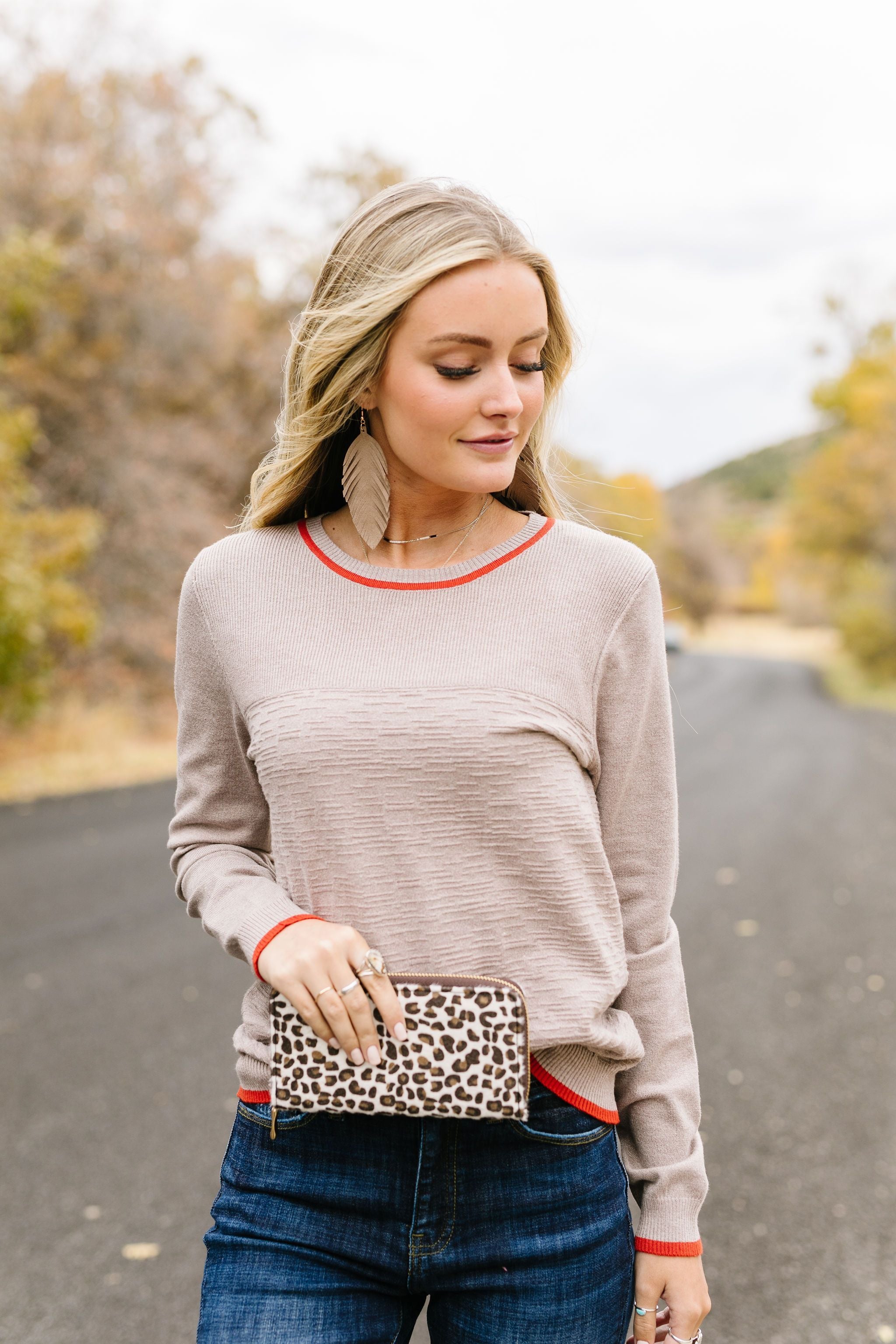 On The Edge Taupe Mocha Sweater