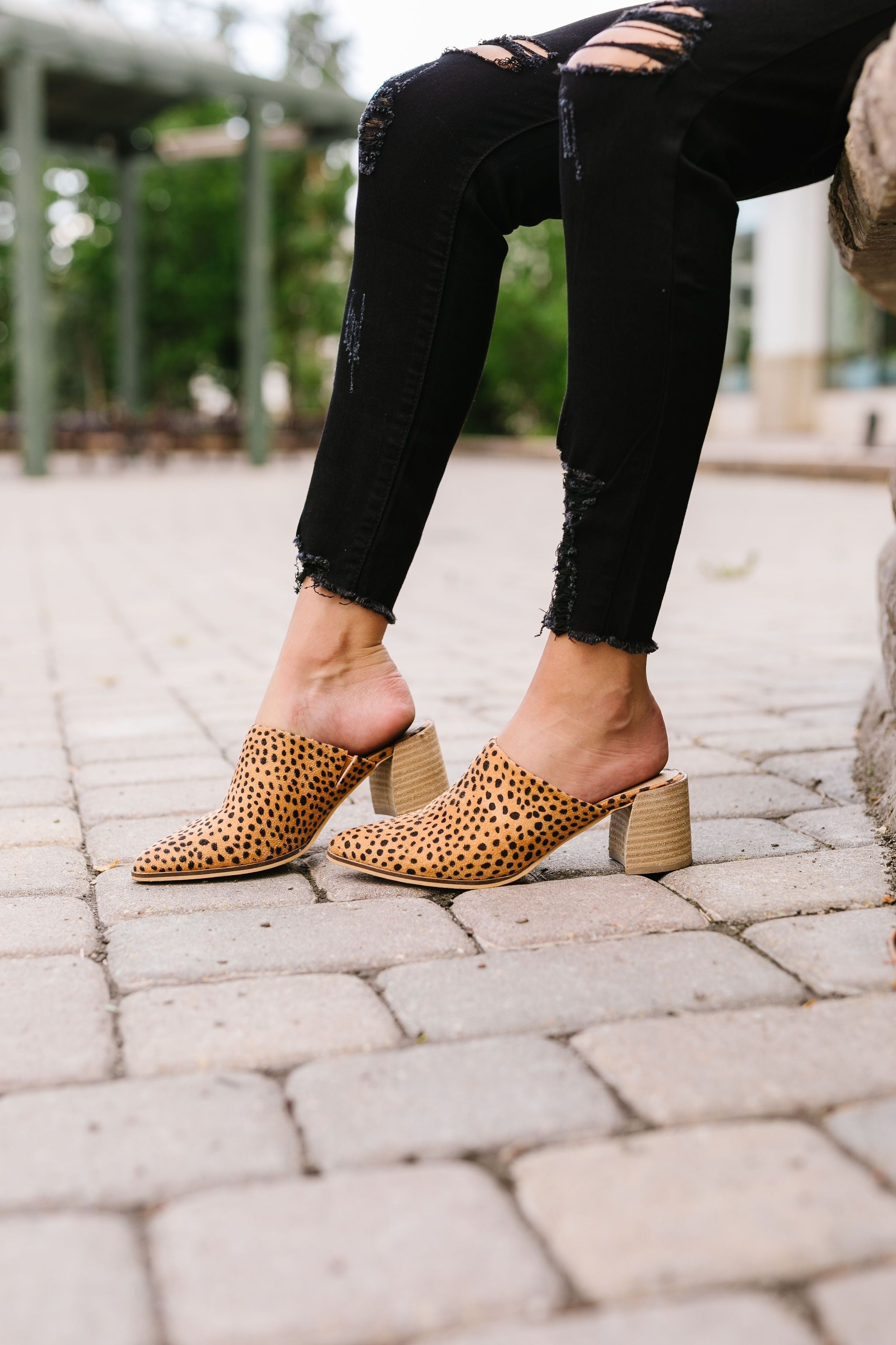 Spotted Cheetah Mules