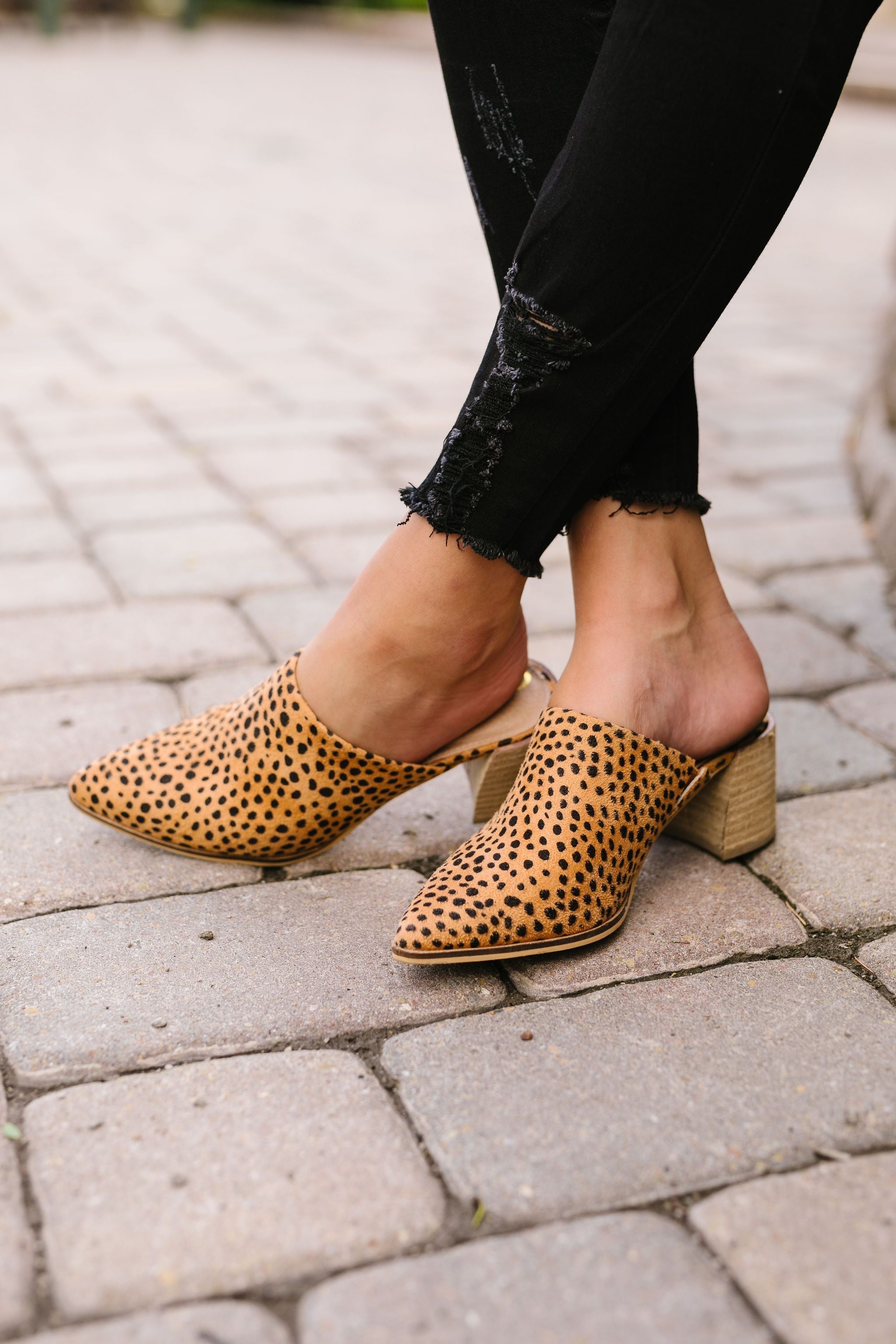 Spotted Cheetah Mules