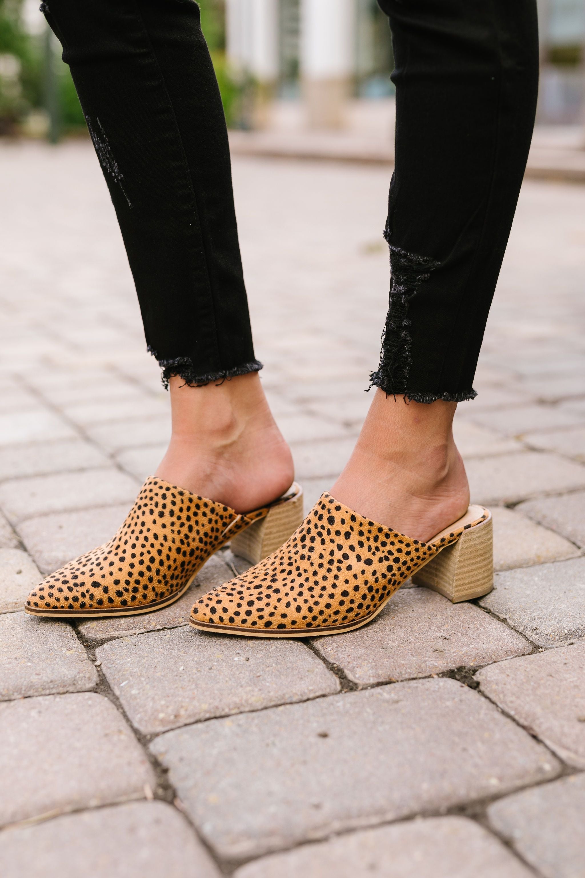 Spotted Cheetah Mules