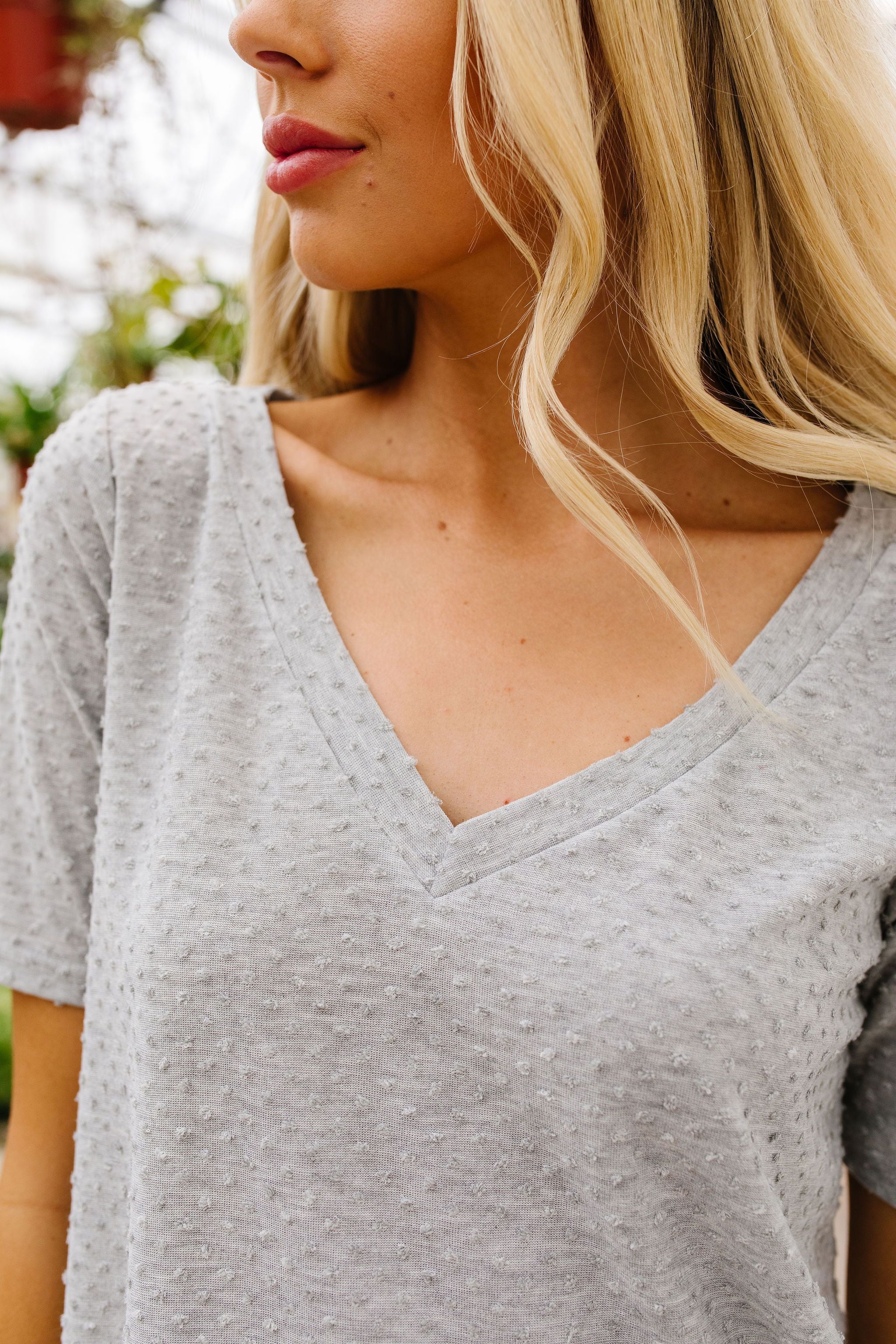 Swiss Dot V-Neck In Gray